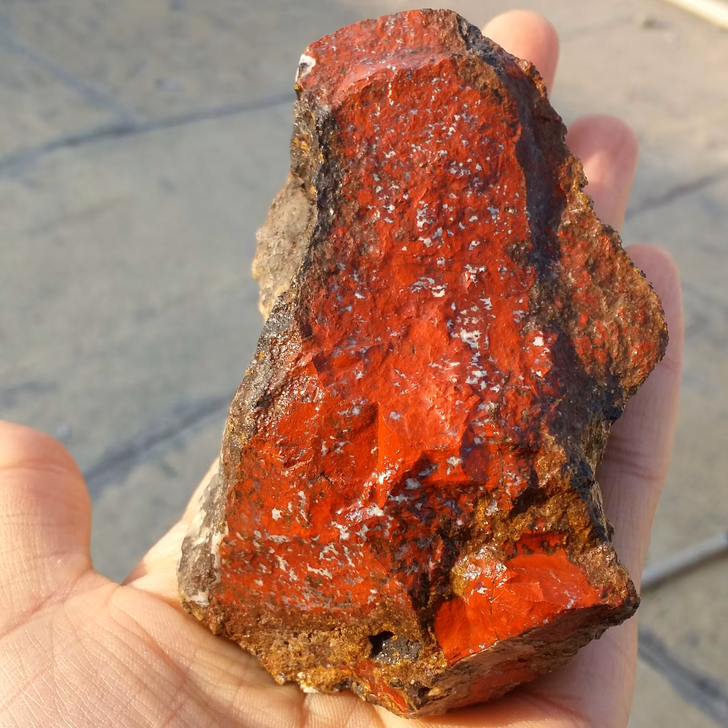 سنگ راف غولپیکر جاسپر منظره سرخ 100 در 100 طبیعی خاص بی نظیر
با قابلیت ساخت چند نگین فوق العاده
کد 8252