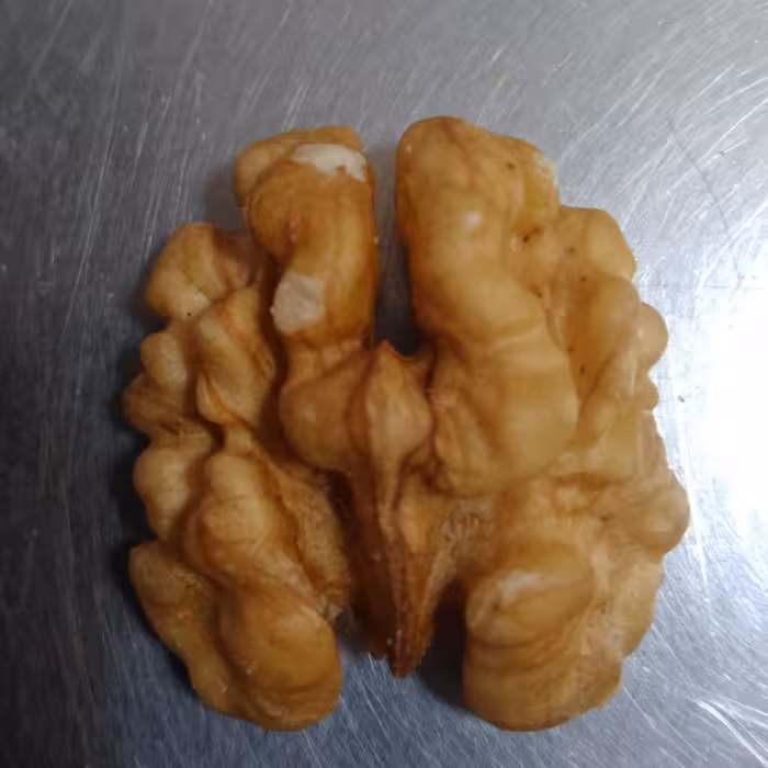 گردوی ارگانیک  مجلسی ایرانی ، دارای خواص بی نظیر  مخصوصا برای کودکان