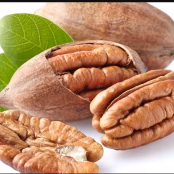 گردو پکان با پوست درشت