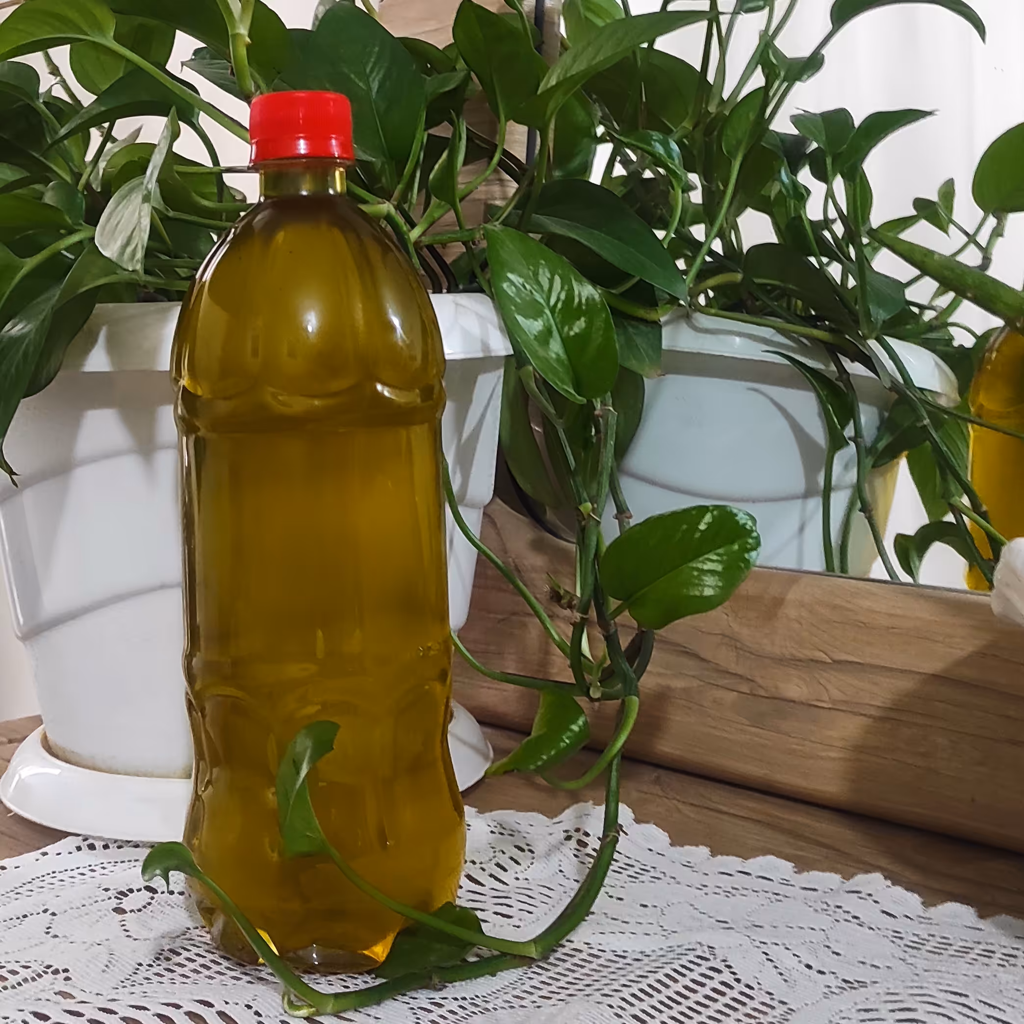 روغن زیتون بکر (بی بو)