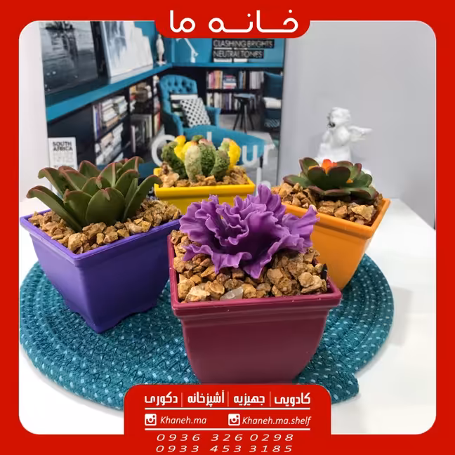 گلدان کاکتوس سایز بزرگ