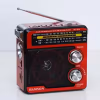 اسپیکر و رادیو بلوتوثی PANARISING مدل RS-1516UBT