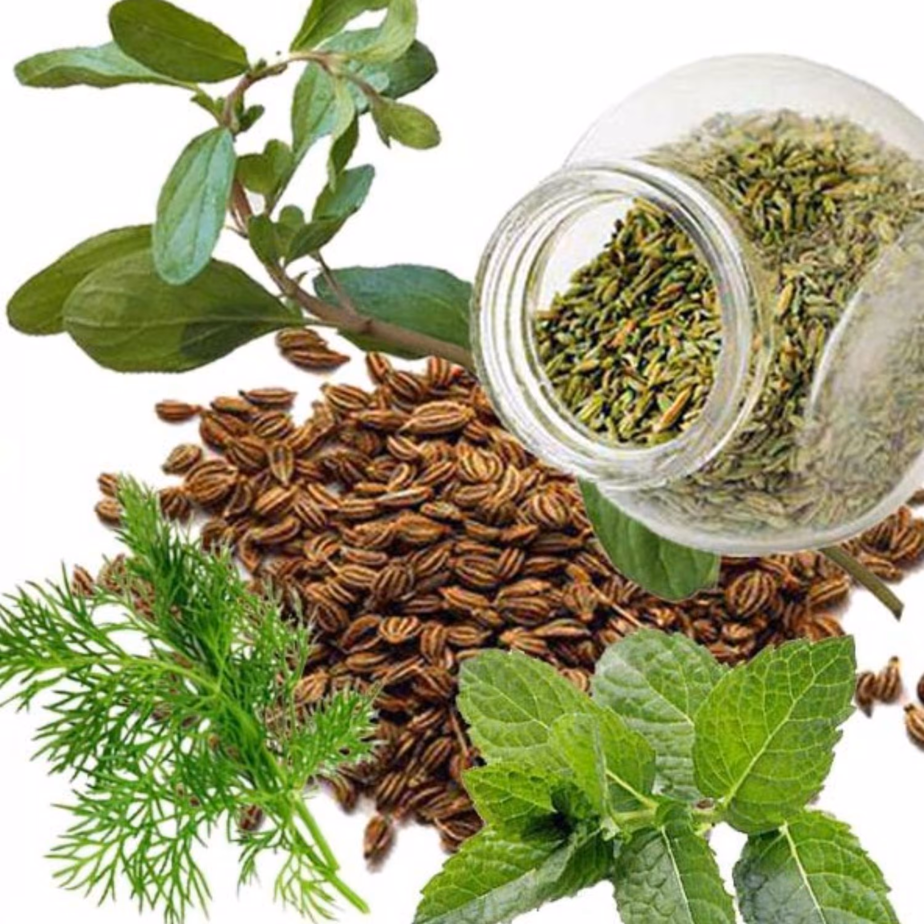 معجون چهل گیاه