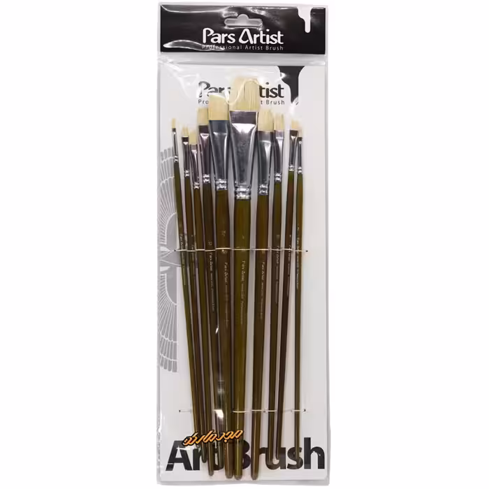 ست قلم مو تخت مو ریز طبیعی کد 2050 پارس آرتیست