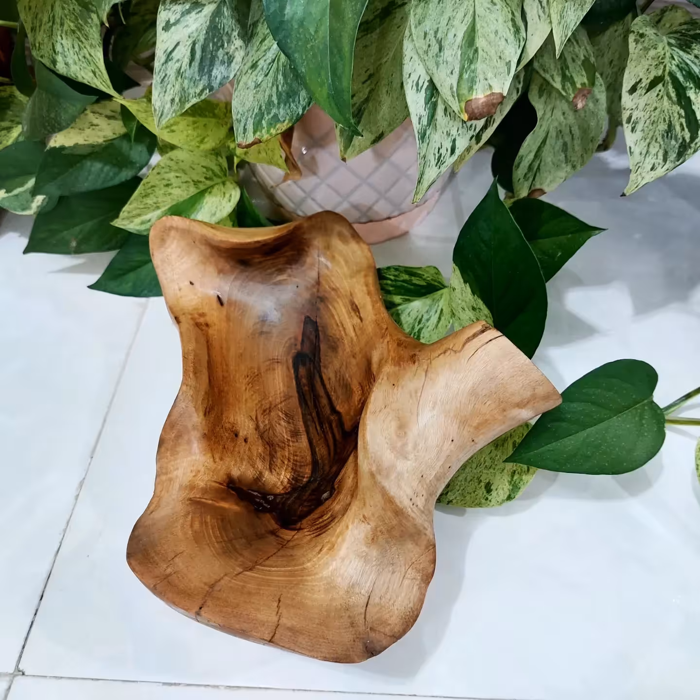 شکلاتخوری چوبی روستیک