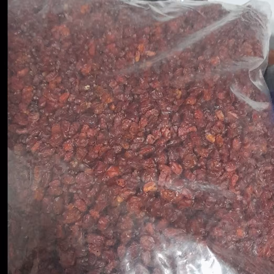 زرشک درجه یک قاین بسته بندی نیم کیلویی