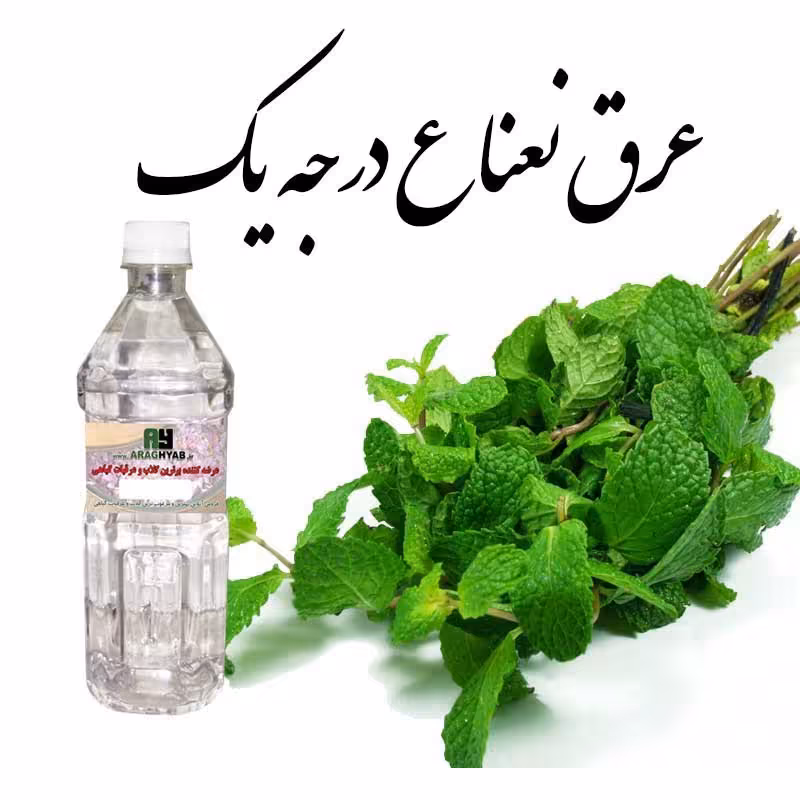 عرق نعنا درجه 1یک لیتری