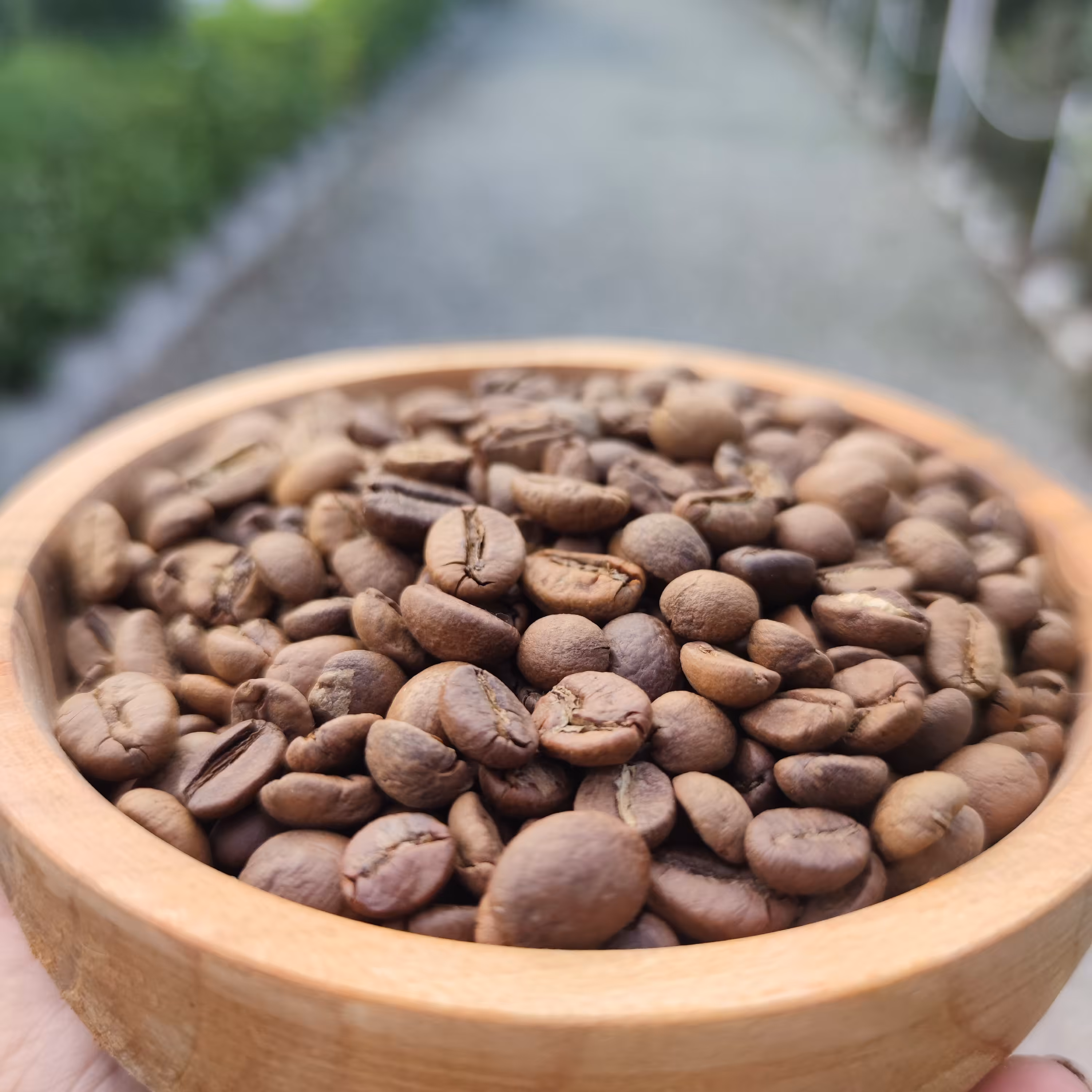 قهوه میکس  70روبوستا (500گرم)