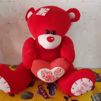 عروسک خرس me to