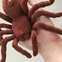 عنکبوت کنترلی مناسب ترساندن