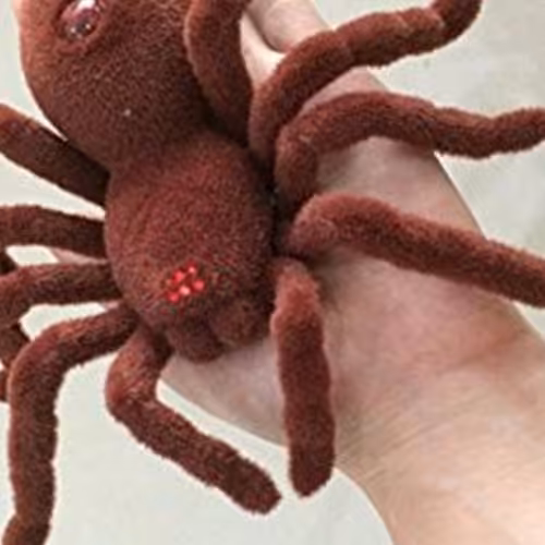 عنکبوت کنترلی مناسب ترساندن