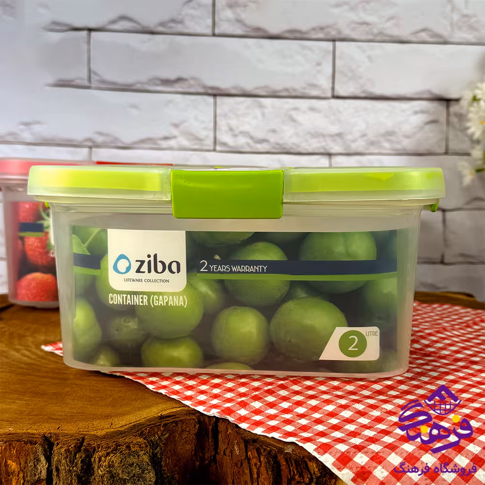 ظرف نگهدارنده گاپانا 2 لیتر زیبا