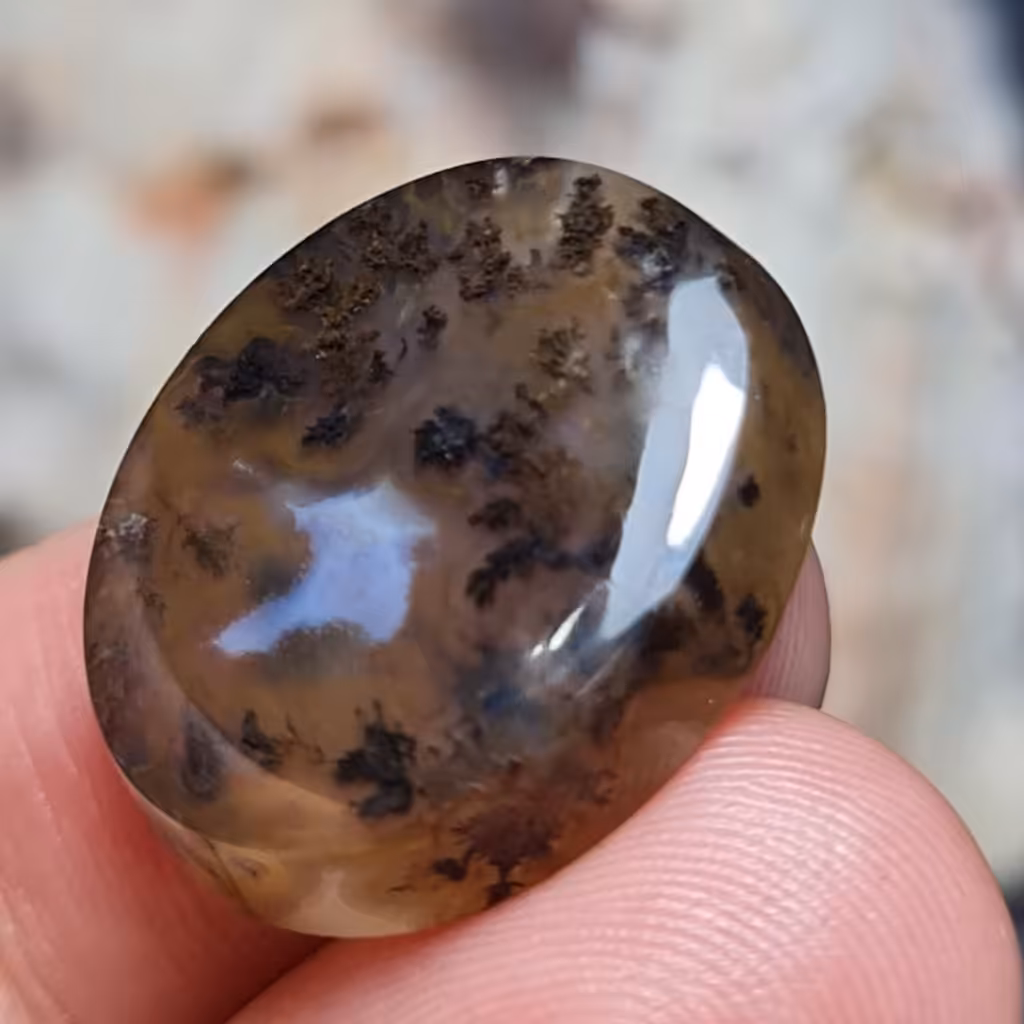  نگین فوق العاده زیبای سنگ صد درصد طبیعی عقیق شجر خاص خراسانی  اصل معدنی  
کد  26689