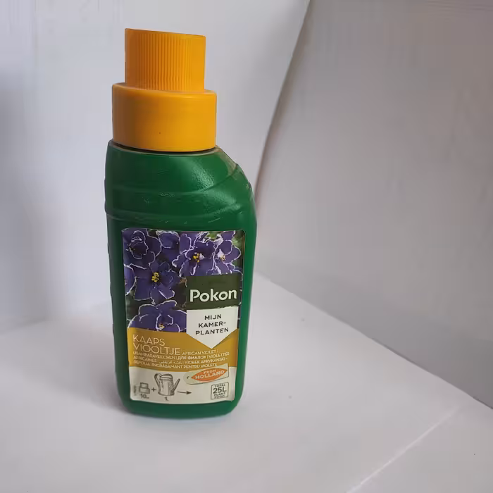 کود  بنفشه آفریقایی پوکون هلند 