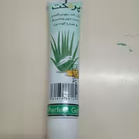 ژل ضدعفونی کننده دست تیوپی پرفکت ( 100 گرم )