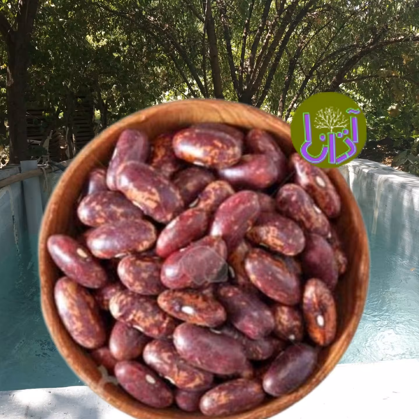 لوبیا قرمز 500 گرمی 