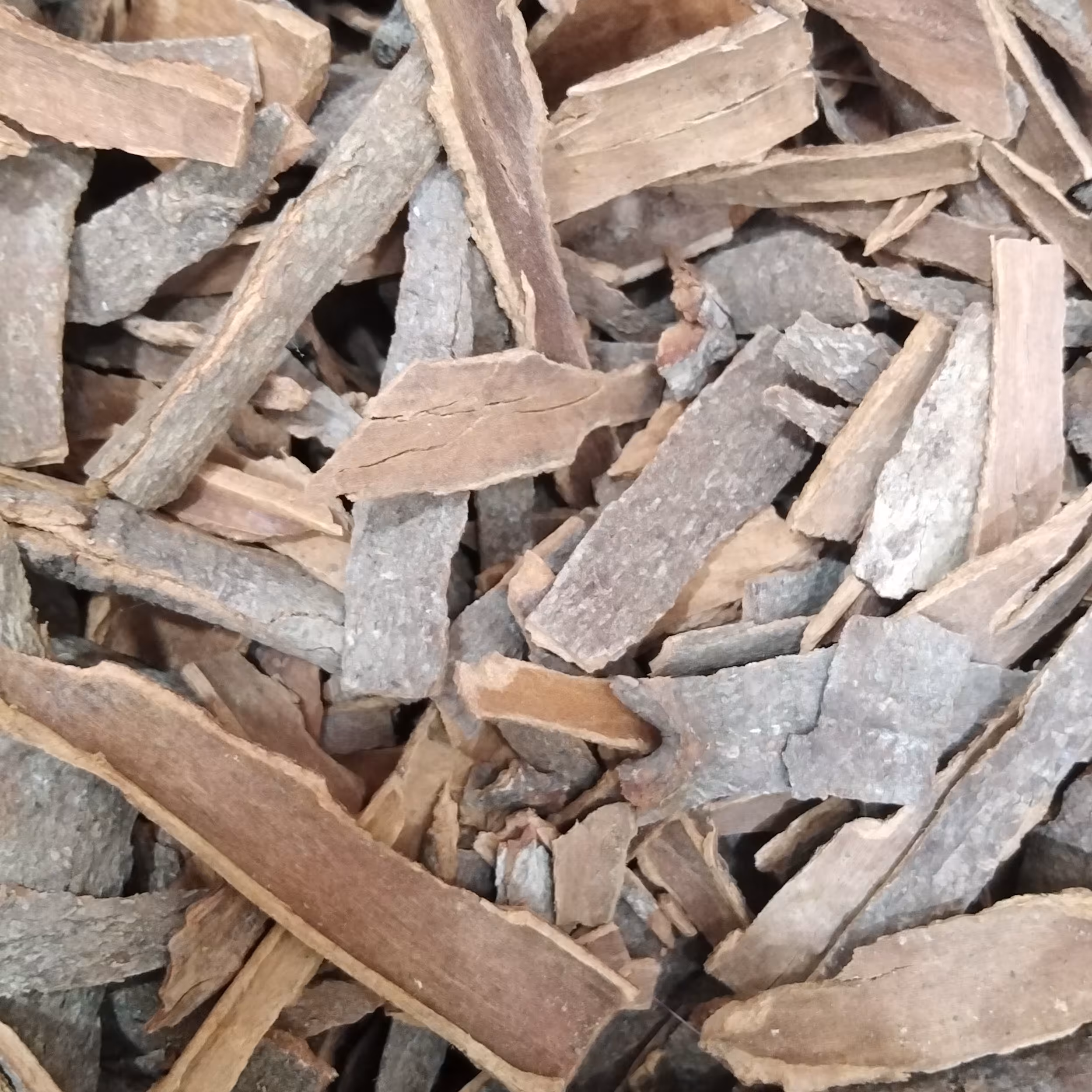 دارچین نیم کیلویی تازه و تهیه شده از پر فروش ترین عطاری شهرمان 