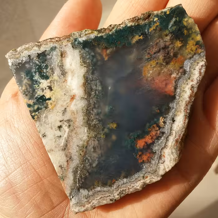 اسلایس سنگ راف شجر دریایی 7رنگ زمینه سوسنی پر رنگ دو طرفه 100 در 100 طبیعی خاص