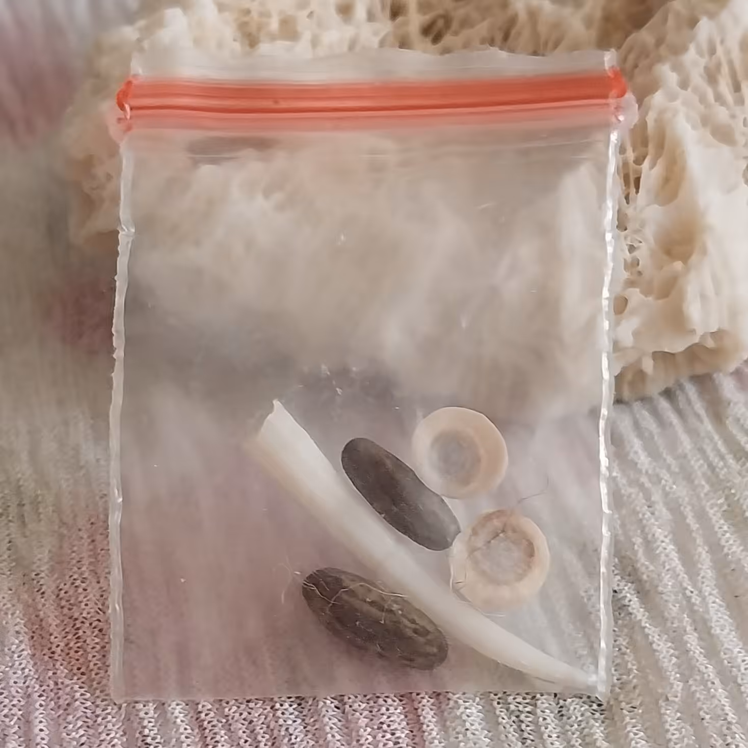 جفت مهره ناب