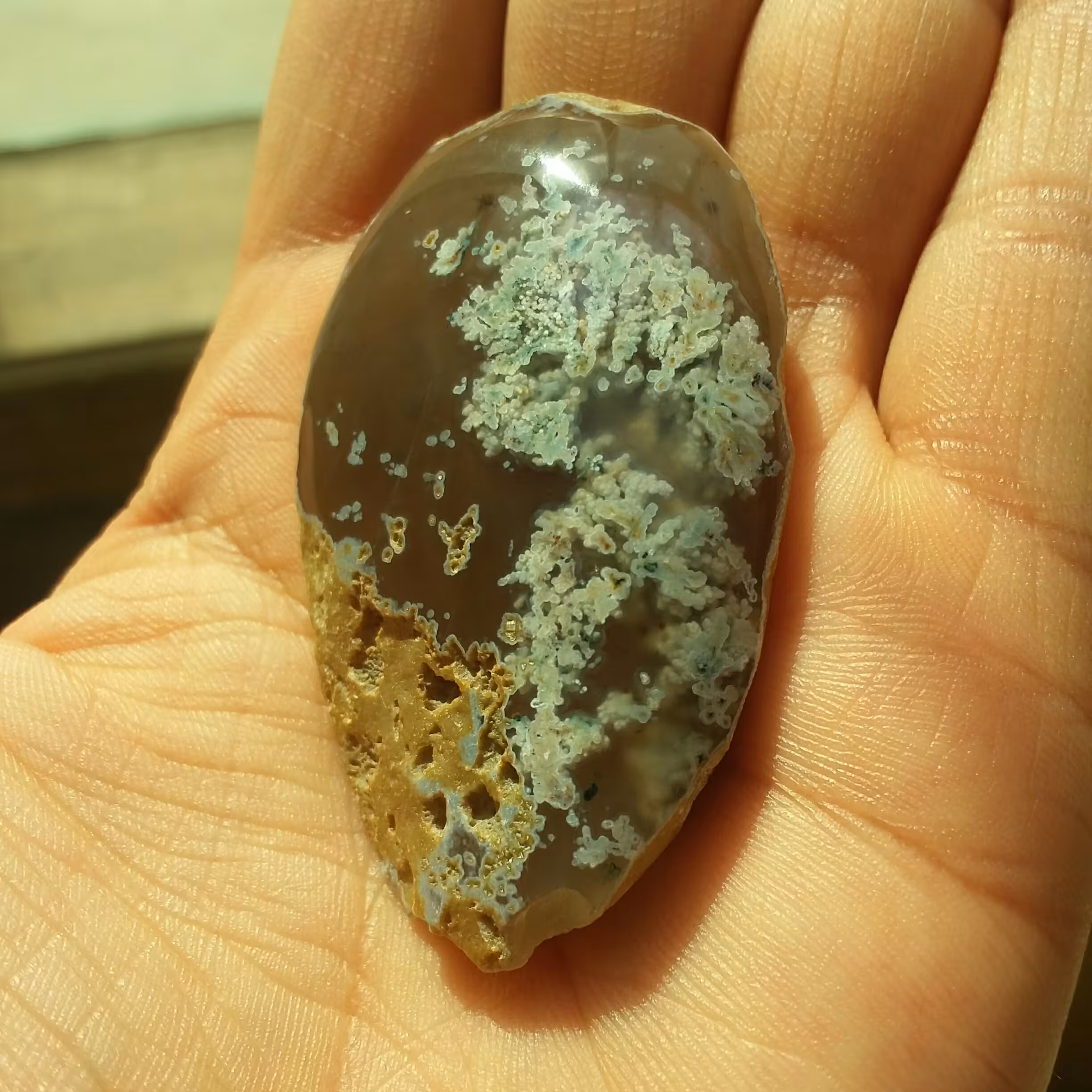 راف فوق کلکسیونی پولیش خورده شجر با زمینه خرمایی بسیار خاص و زیبا شاهکار خلقت مختص دکور