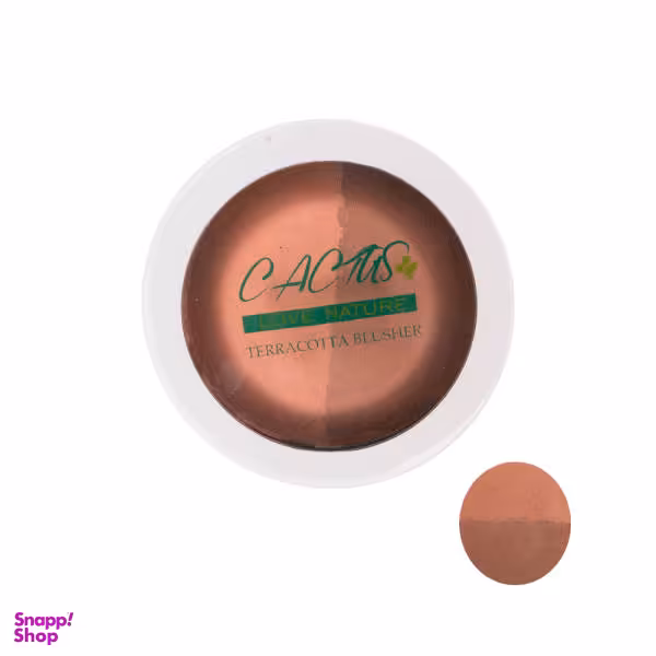 هایلایتر و کانتورینگ کاکتوس (Cactus) شماره 41