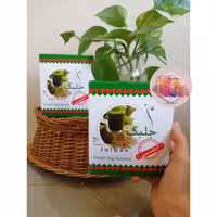 جلبک دریایی