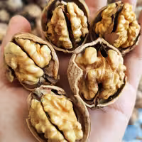 گردو تویسرکان (1000گرم) محصول سال 403 ، 90 درصد خشک شده 