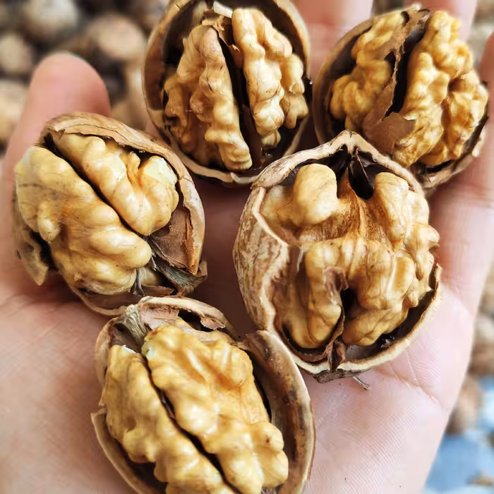 گردو تویسرکان (1000گرم) محصول سال 403 ، 90 درصد خشک شده 