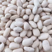 لوبیا سفید 1کیلویی