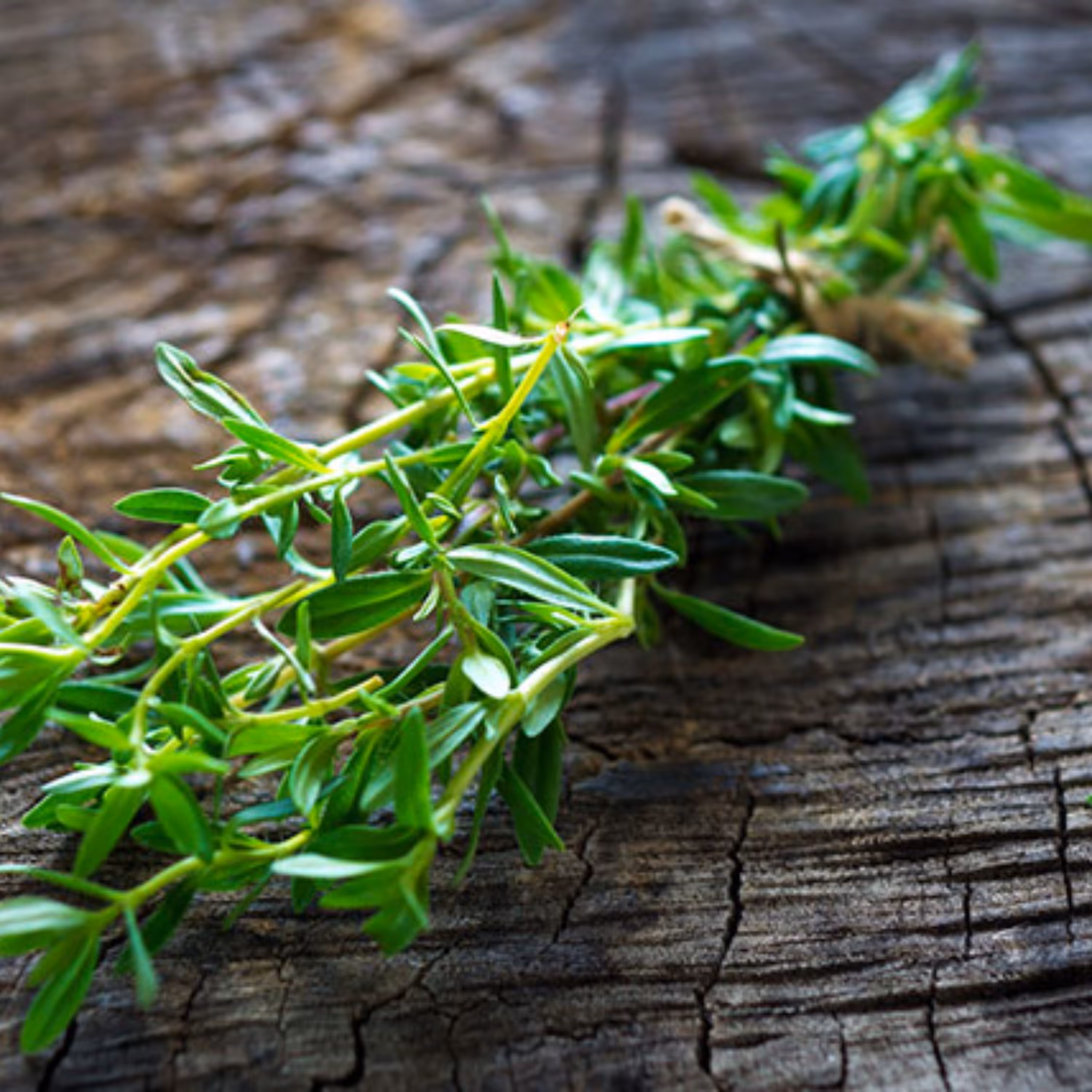 روغن بذر مرزه اصل 50 سی.سی