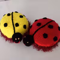 سفره پاک کن کفشدوزکی