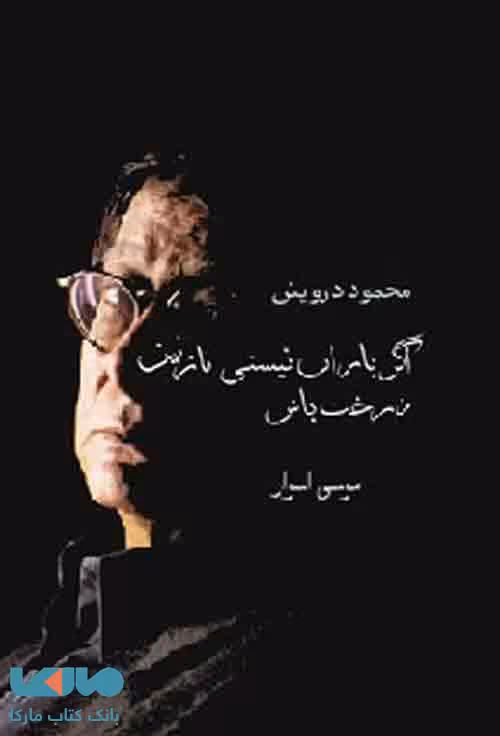 اگر باران نیستی نازنین،درخت باش نشر سخن