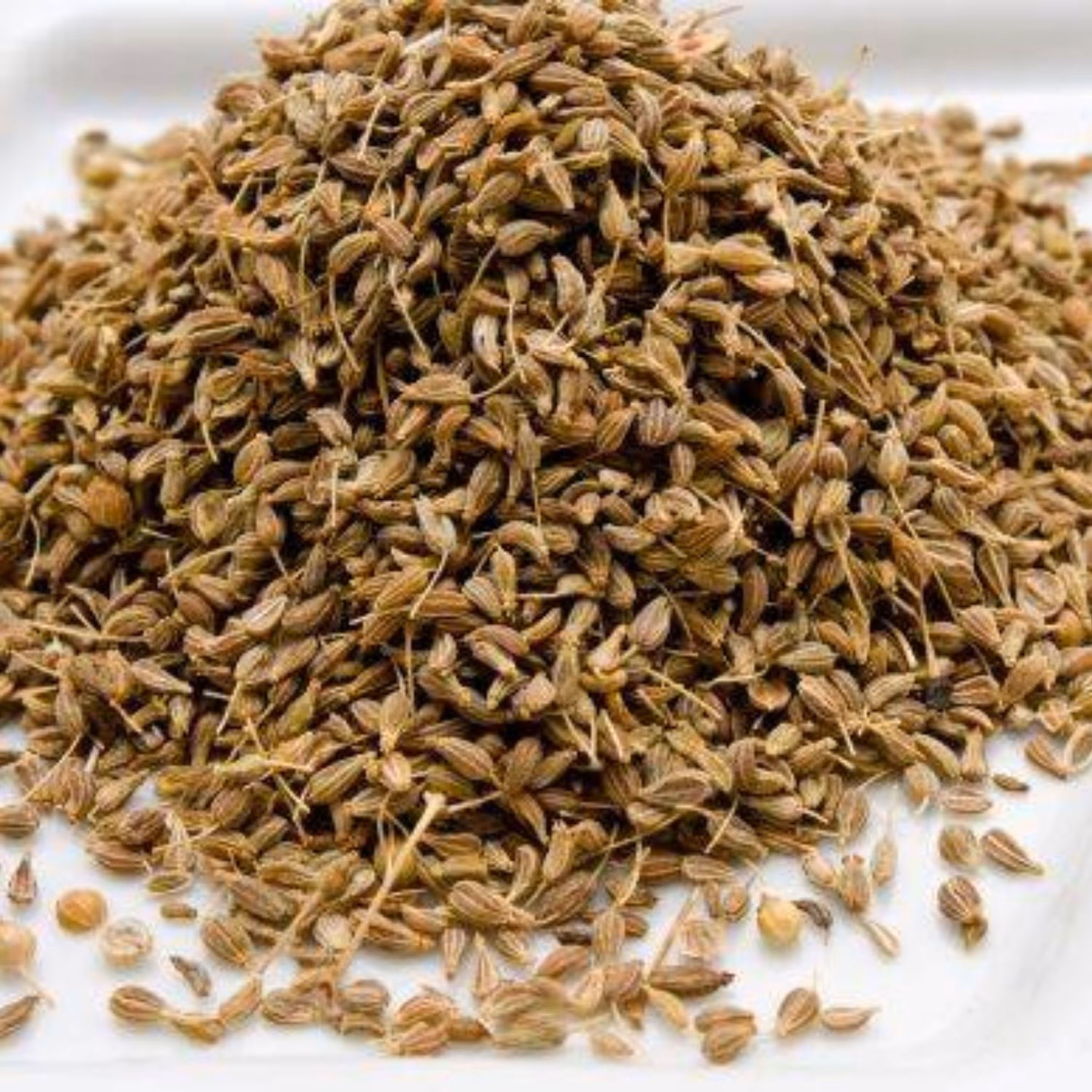 انیسون یا بادیان رومی(100 گرمی)