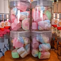 میوه خشک مخلوط شیرین (10 میوه 300 گرمی نانا)