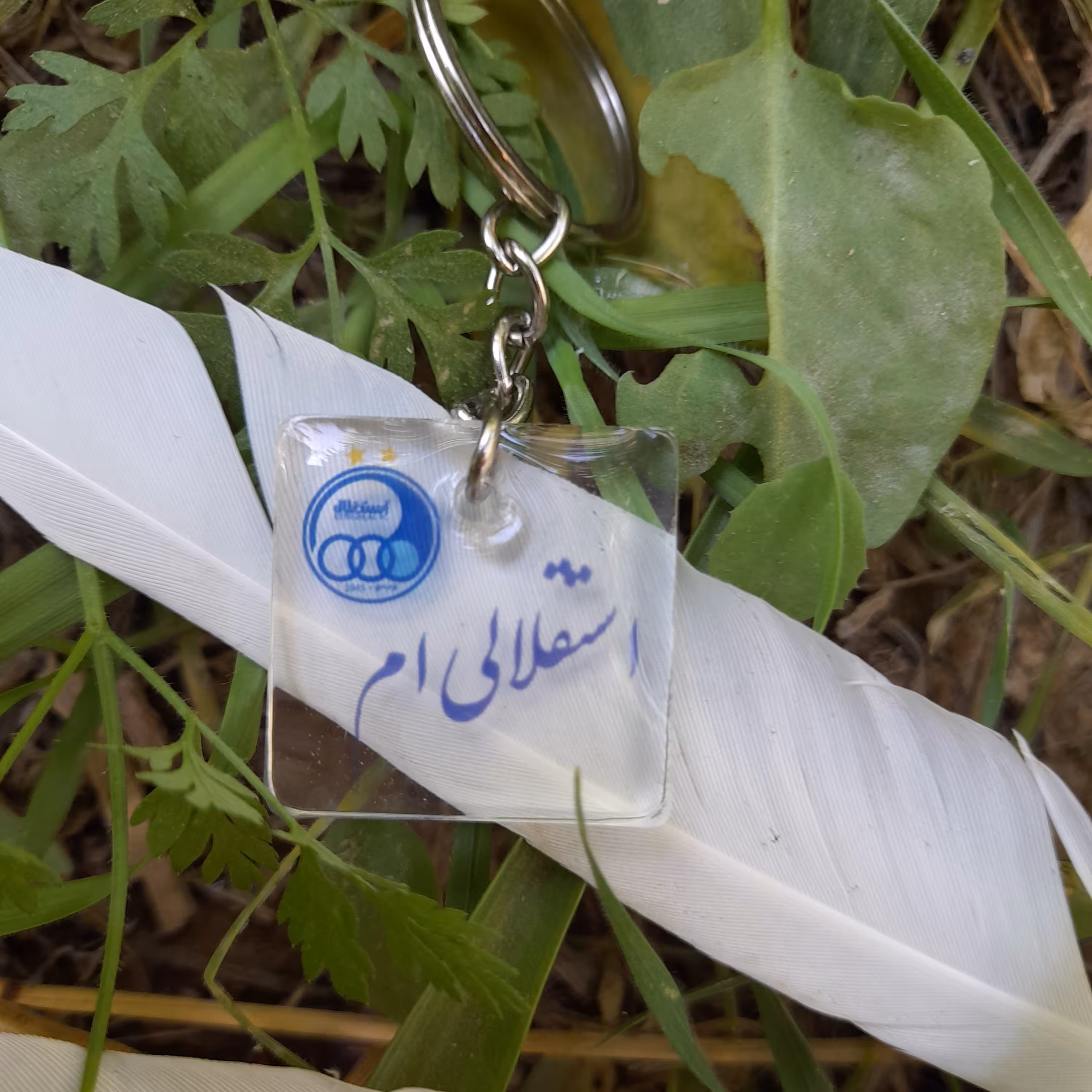 سرکلیدی رزینی فوتبالی طرح  استقلالی ام