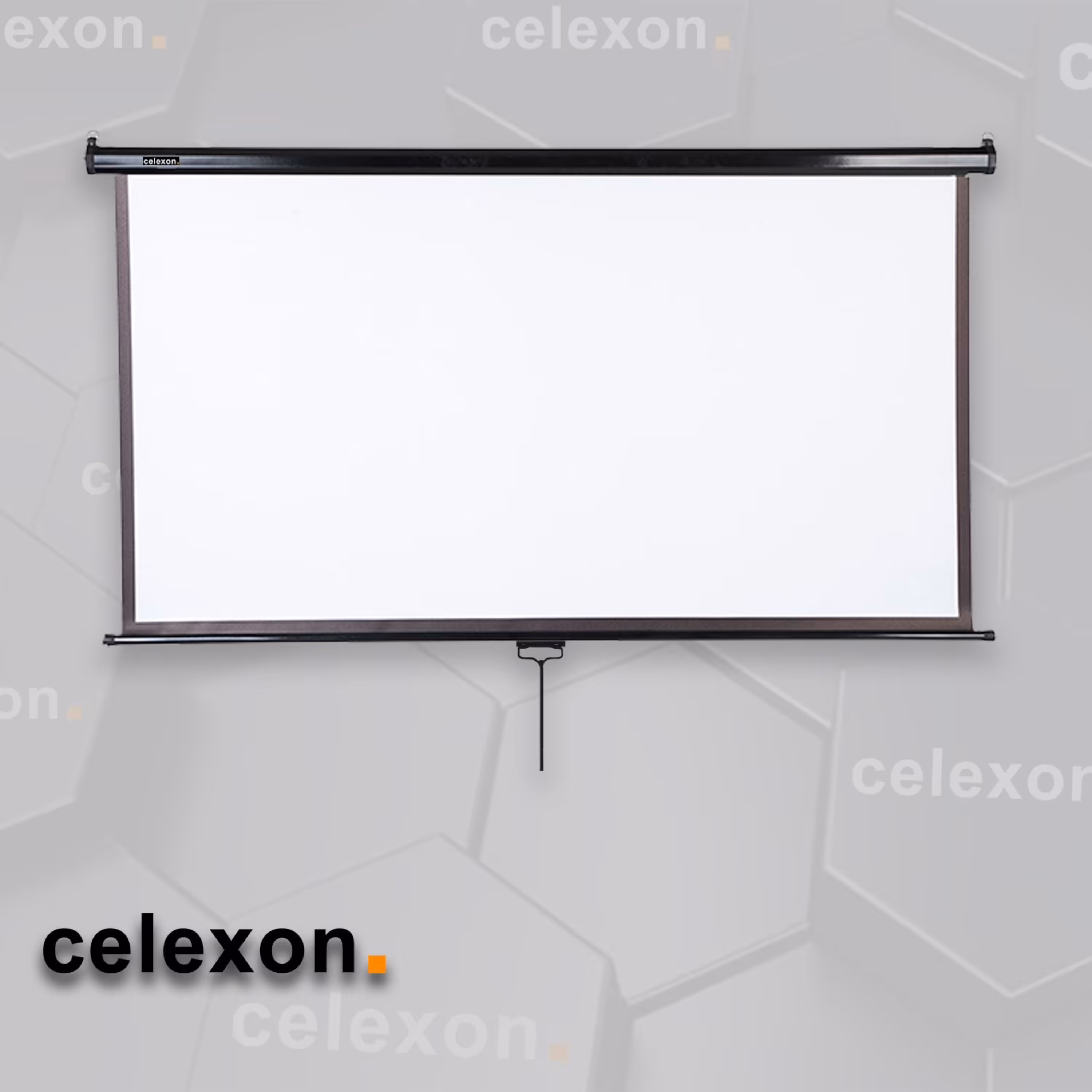 پرده نمایش مشکی دستی سلکسون مدل CSB300M