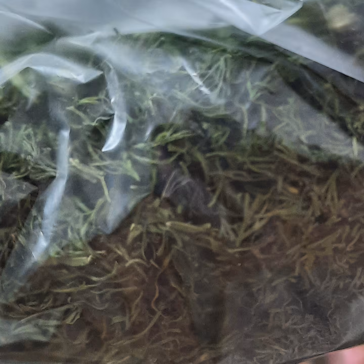 شوید خشک اعلا(100گرم)