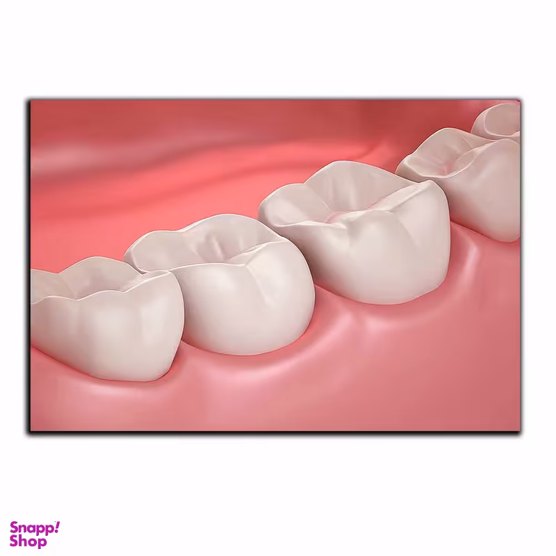 تابلو شاسی بکلیت طرح دندانپزشکی و دندان مدل SH-2035