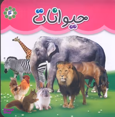 کتاب مقوایی (4) حیوانات اثر جمعی از نویسندگان انتشارات پخش پیام مشرق