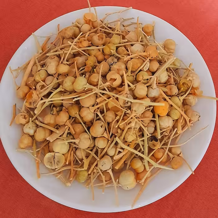 اسفند نخودی با عطروبوی فراوان (100)گرم