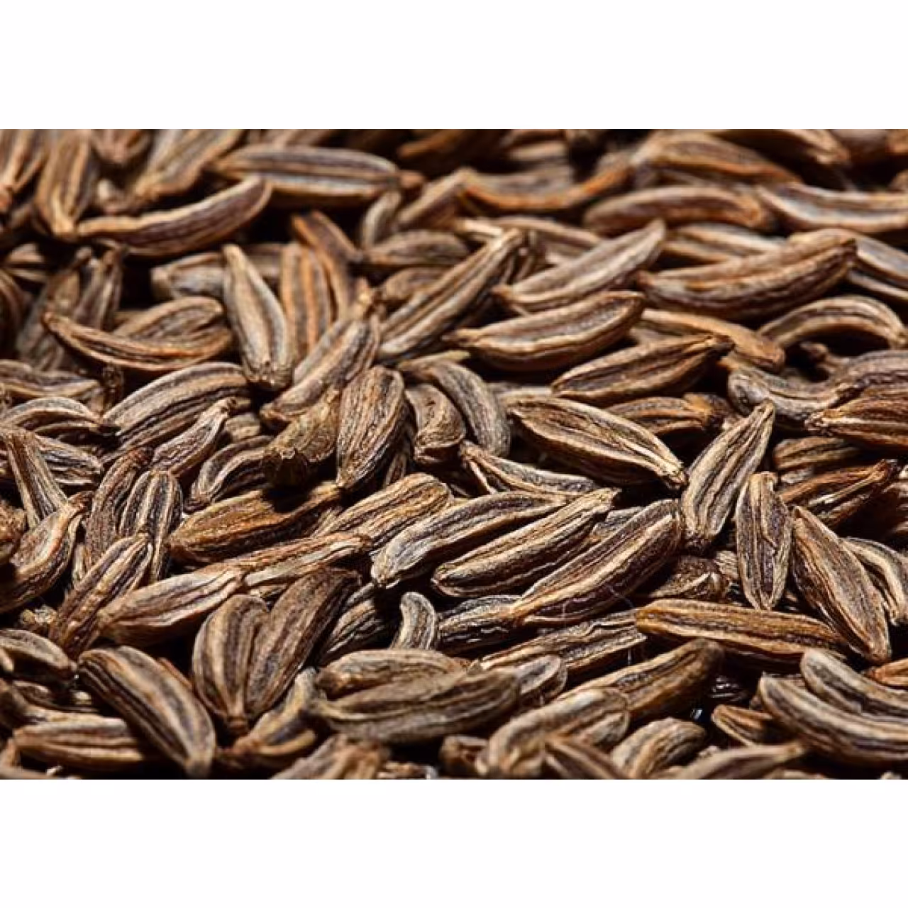 زیره سیاه 100 گرمی