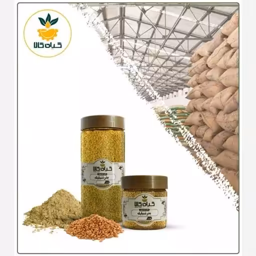 بذر شنبلیله با کیفیت عالی، بار امسالی و تازه(150گرمی)