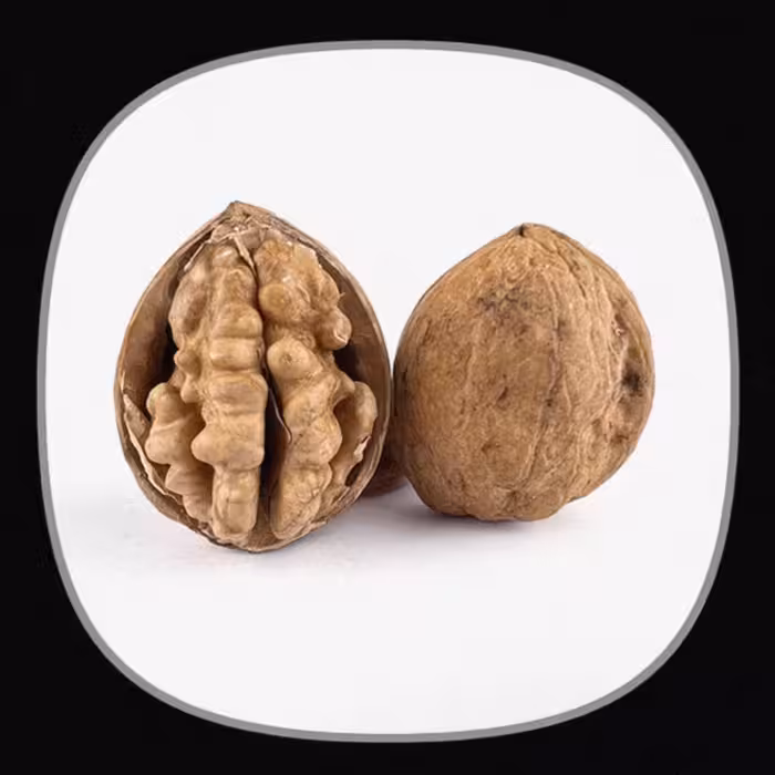 گردو پوست کاغذی درجه کیفی لوکس ایرانی 70درصد مغز  امسالی