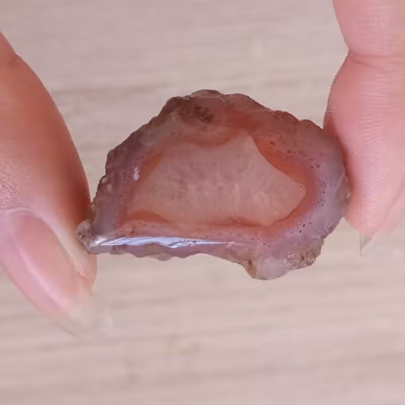 حبه سلیمانی