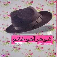 کتاب شوهر آهو خانم اثر علی محمد افغانی انتشارات امیرکبیر