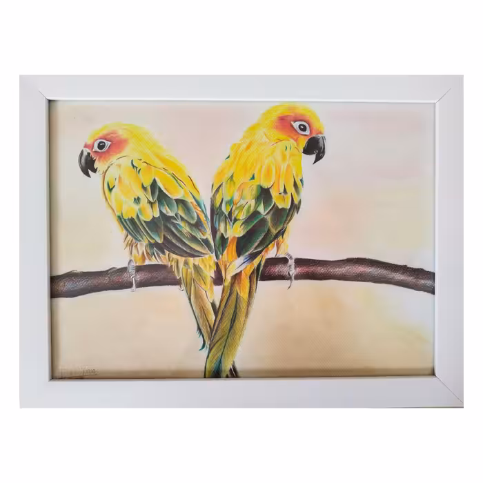 تابلو مدادرنگ منظره طوطی ها 34 در 45