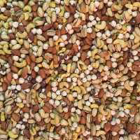 اجیل4مغز 500گرم(پسته با پوست)مغز فندق بادام بادام هندی پسته زعفرانی