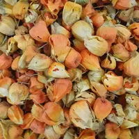 عروسک (عروس پشت پرده - فیسالیس - کاکنج) - 500 گرم