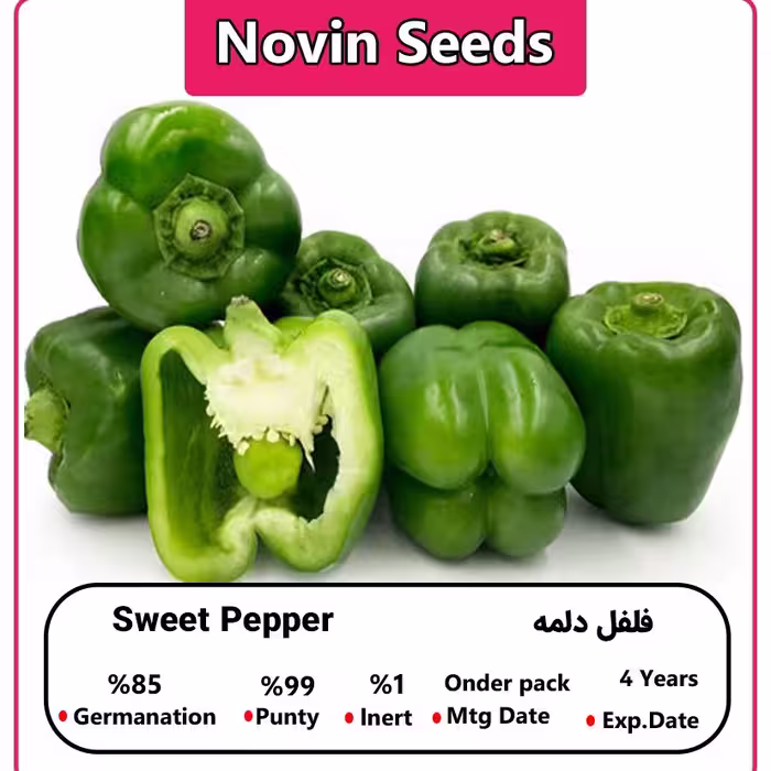 بذر فلفل دلمه