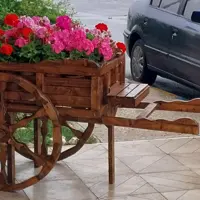 گاری گل (پس کرایه)